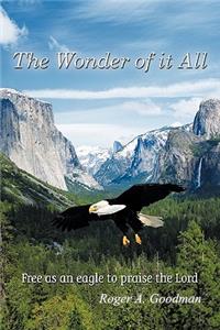 Wonder of It All
