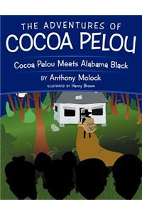 Adventures of Cocoa Pelou