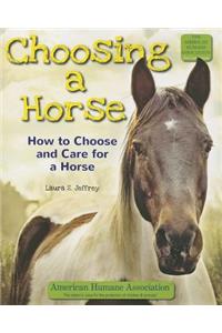 Choosing a Horse