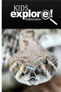Rattle Snakes - Kids Explore