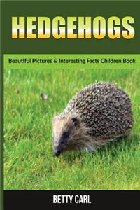 Hedgehog