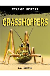 Grasshoppers