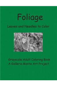 Foliage Leaves and Needles to Color: Galleria Monte Art P: roject