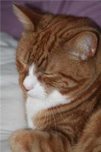 A Pretty Ginger Cat on a White Comforter Journal