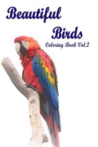 Beautiful Birds: Coloring Book Vol.2: An Adult Mindful Coloring Book of Birds in a Variety of Styles