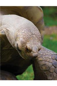 Galapagos Tortoise Blank Sketchbook