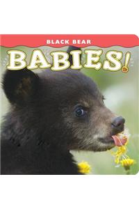 Black Bear Babies!