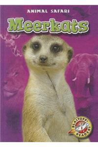 Meerkats