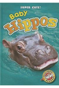 Baby Hippos