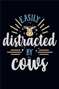 Easily distracted by cows
