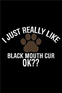 I Just Really Like Black Mouth Cur Ok?