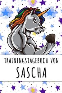 Trainingstagebuch von Sascha