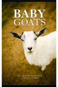 Baby Goats Note Monthly 2020 Planner 12 Month Calendar