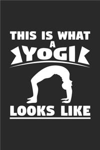 This is what a yogi looks like