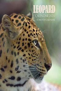 Leopard Calendar 2020