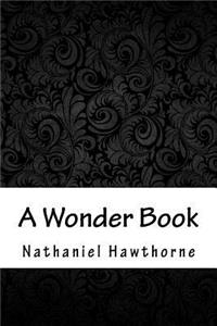 A Wonder Book