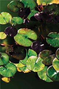 Lilypad Journal