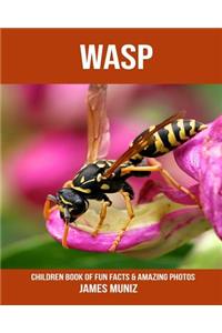 Wasp: Children Book of Fun Facts & Amazing Photos