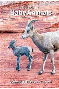 Our Arizona: Baby Animals