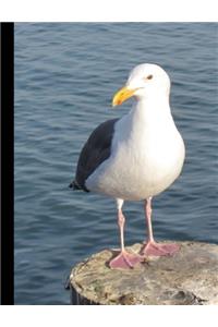Western Gull Seagull Graph Paper Composition Notebook