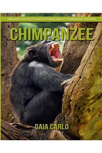 Chimpanzee