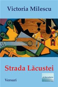 Strada Lacustei: Versuri