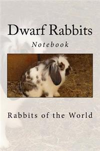 Dwarf Rabbits