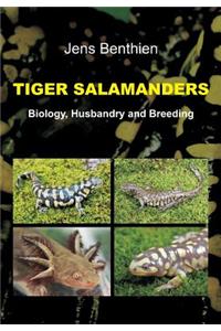 Tiger Salamanders