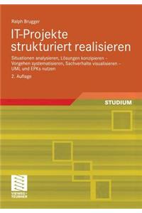 It-Projekte Strukturiert Realisieren