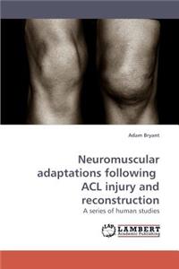 Neuromuscular Adaptations Following ACL Injury and Reconstruction