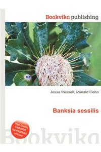 Banksia Sessilis