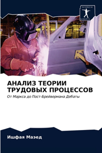 АНАЛИЗ ТЕОРИИ ТРУДОВЫХ ПРОЦЕССОВ