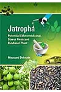Jatropha