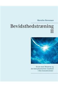 Bevidsthedstræning II