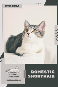 Domestic Shorthair