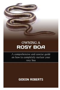 Owning a Rosy Boa