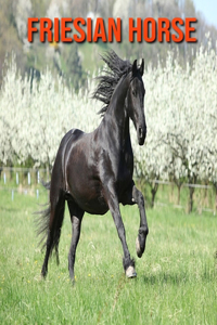 Friesian Horse