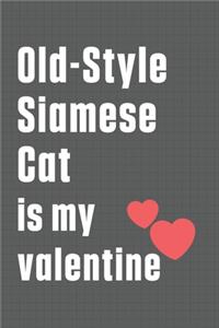 Old-Style Siamese Cat is my valentine