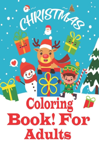 Christmas Coloring Book! For Adults