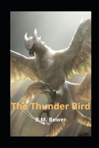 The Thunder Bird illustrated