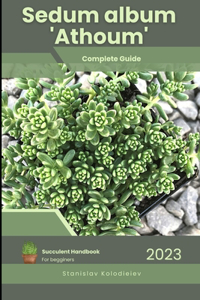 Sedum album 'Athoum'