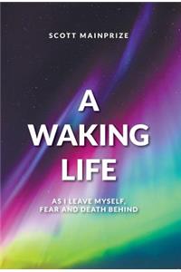 Waking Life - As I Leave Myself, Fear and Death Behind