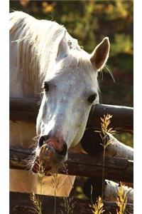 Kids Petite Equine Journal
