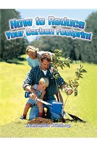 How to Reduce Your Carbon Footprint