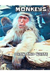 Monkeys