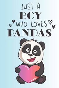 Just A Boy Who Loves Pandas