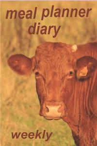 Meal Planner Diary Weekly