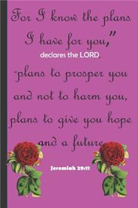 For I know the plans I have for you, declares the LORD, plans to prosper you and not to harm you, plans to give you hope and a future Jeremiah 29