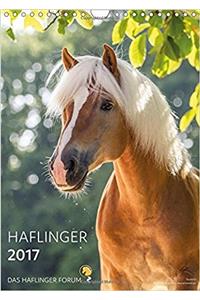 Haflinger Horses 2017 - by Das Haflinger Forum 2017