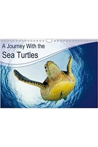 Journey with the Sea Turtles 2018